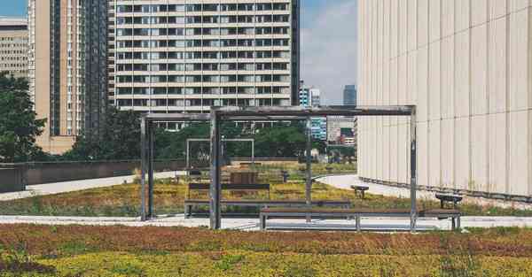 f1新加坡站2023